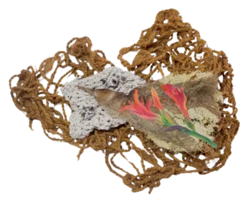 Assemblage II by Jayita Barai - Cotton rope, Canna indica seedpods, coir rope, dried bark, gouache colour on cloth, corn husk paper