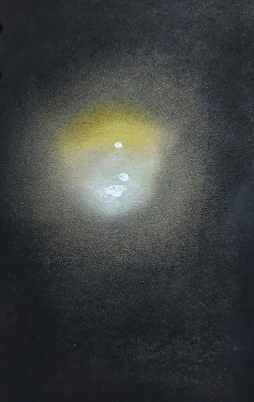 Untitled by Gayathri A P - Soft pastel on paper