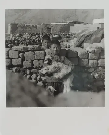 Summer pastures by Ayan Biswas - Silver gelatin print on Ilford Multigrade pearl finish paper