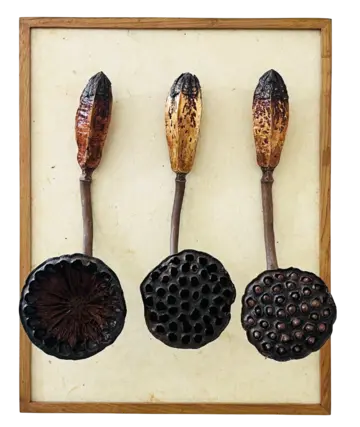 Whispers of the inanimate, 1 by Preksha Tater - Cloth, paper, wood, dried lotus and mahogany seed pods