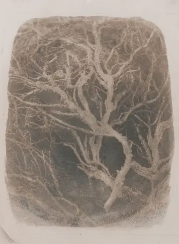 Tama by Ayan Biswas - Toned cyanotype print