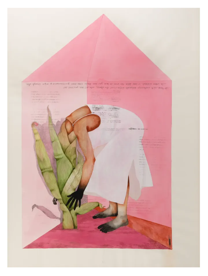 Pink house
